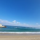 강릉경포대S9바닷가가족스파펜션 | 강릉 경포대 숙소 (S9 펜션)