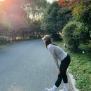 비피젠 유산균 가스 후기 내돈내산