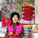 한일농원