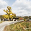 단곡1리 이미지