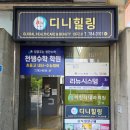 디니힐링프리미엄