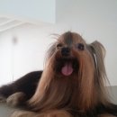 이아이앤테리어