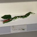 가야초교병설유치원 이미지