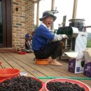 용옥농장 이미지