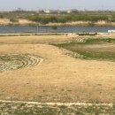 갈대2축구장 이미지