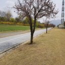 ＜부하 여직원을 간음한 경우의 법적 문제＞ 이미지