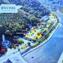 의령 충익사 모과나무 | 어머니와 함께 걸었던 의령 충익사, 의병의 숨결과 오래된 나무를 만나다