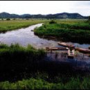 뉴월드장 이미지