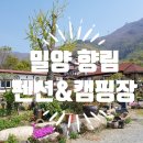 향림오토캠핑장 | 밀양 향림펜션&amp;오토캠핑장[경남가볼만한곳/부산인근캠핑장]