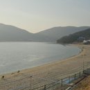 구조라건어물