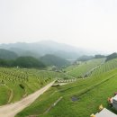 춘천안식공원 이미지