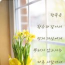 감화