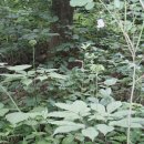 연부농장 이미지