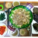 오리한마리 이미지