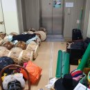 인평초등학교 이미지