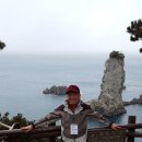 서홍동-7 Daum카페