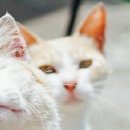 늘해랑국밥 이미지