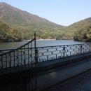 부산어린이대공원 이미지