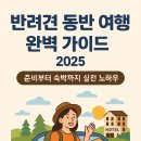 표선856 | 반려견 동반 여행 완벽 가이드 2025 - 준비부터 숙박까지 실전 노하우