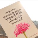 수채캘리 & 시 한줄 네이버블로그