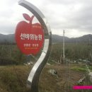 선바위농원 이미지