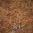 자연고구마순감자탕 이미지