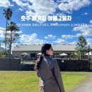 돌고래농장 | [호주 패키지여행 후기] 포스테판 모래썰매, 돌고래 크루즈, 와이너리, 동물원 후기