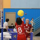 청춘체육관 이미지