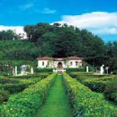 안의꽃사랑 이미지