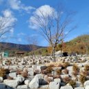 보현산별빛테마마을 본관동 이미지