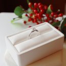 엘도라도시티 이미지