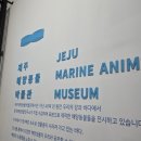 제주해양동물박물관 | 아이와 함께한 제주 해양동물박물관 내돈내산 찐추천 후기