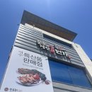여수 맛집 후기 모음집 (꽃돌게장1번가/바다김밥/구봉만두/여수당/삼대옥/풀뿌리흑두부)