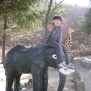 덕오초등학교 이미지