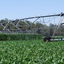 초원농장 이미지