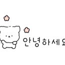 밀포레(MILFORET)300 이미지