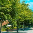 대둔산 글램핑 캠핑장 이미지