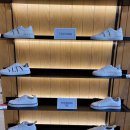 대성리테일 이미지