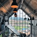 김종연농장 | [5월에 가볼만한 뷰 맛집] 차밭 뷰*목장 뷰*문화재 뷰...'뷰 맛집'