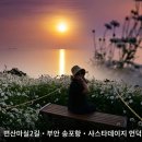 새벽녘계란