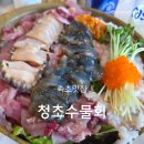 본죽엔비빔밥 속초점 | 속초 청초호 맛집 청초수물회 본점 점심 솔직후기