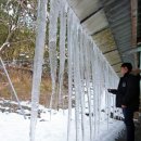 미국 동북부를 마비시킨 `괴물 눈폭풍`...눈덮인 뉴욕 사진 이미지