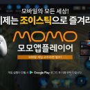 모모브릿지