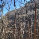 동면농장 이미지