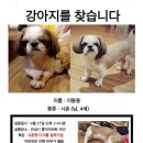 홍익아파트