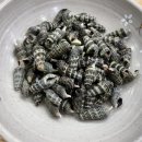 월성횟집 이미지