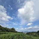 황룡농장 이미지