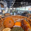 서도농장 | [제주] 제주 애월 카페 제주를 닮은 대형 베이커리 맛집 제주당