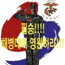 코로나19 일일확진자 현황 이미지