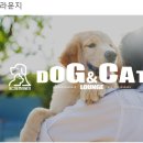 도그앤캣 이미지
